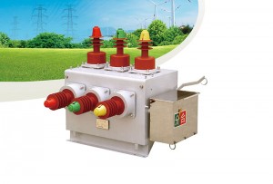 TZW10-12 Outdoor high voltage vacuum circuit breaker